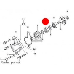 Paraolio Pompa dell'Acqua MONTESA 4RT/315